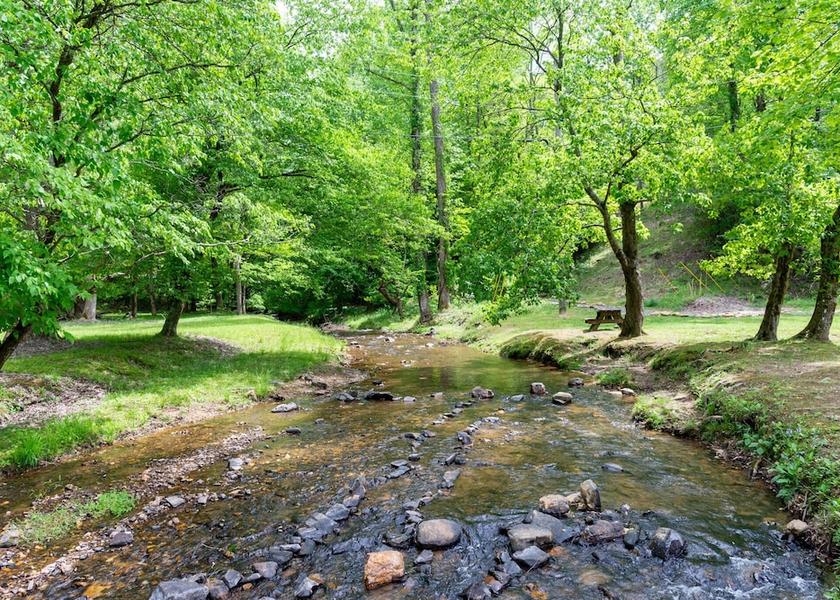 Georgia Ellijay Property Grounds