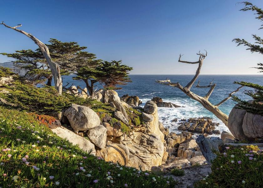 California Marina Beach