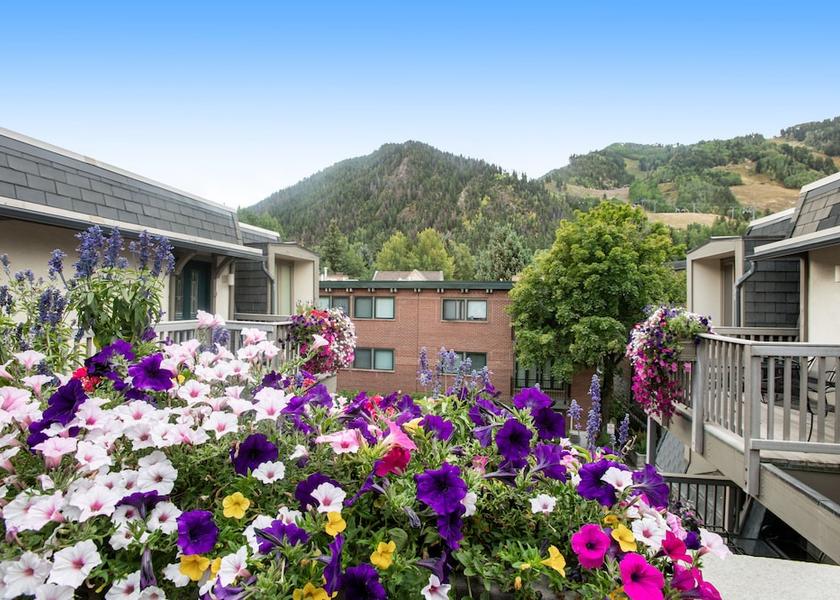 Colorado Aspen View from Property