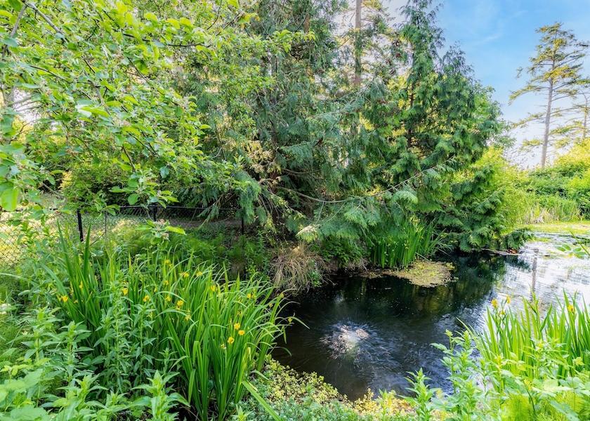 Washington Oak Harbor Property Grounds