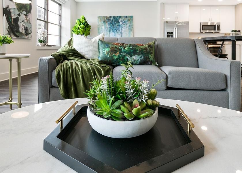 Louisiana New Orleans Living Area