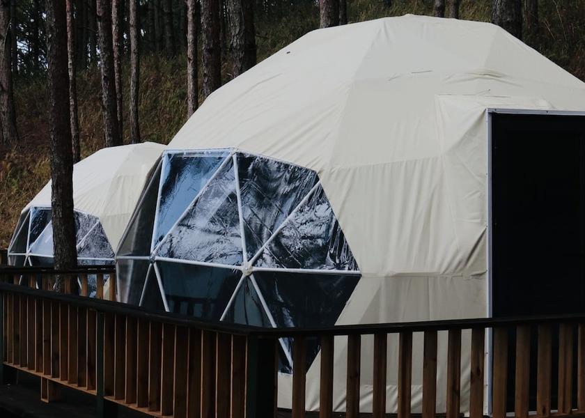 Lam Dong Da Lat Room