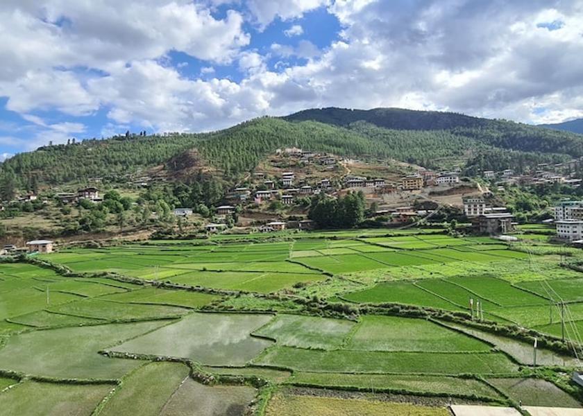 Paro Paro Terrace/patio