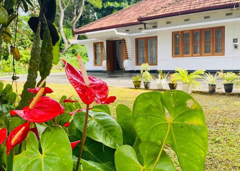 Galle District Unawatuna Facade