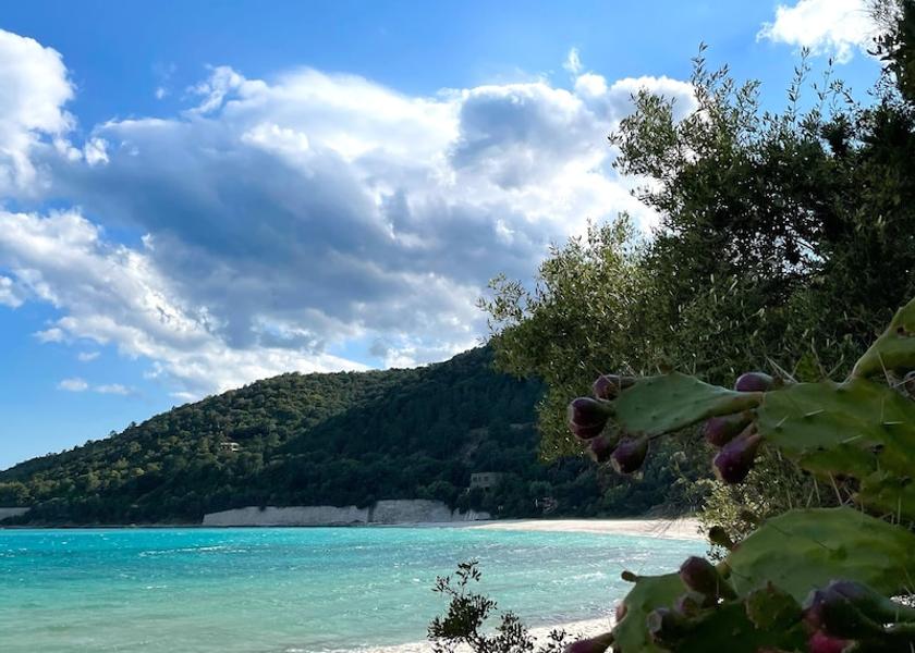 Corsica Sari-Solenzara Beach