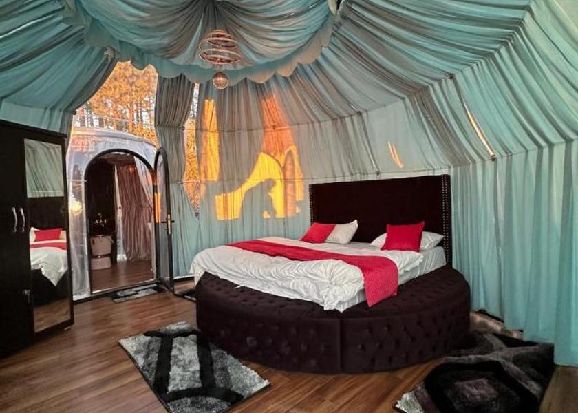 Himachal Pradesh Barog Room