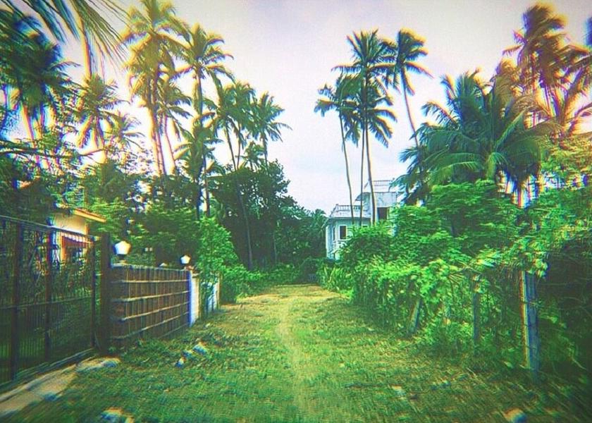 Maharashtra Alibaug Outdoors