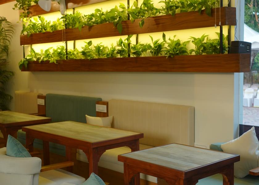 Kerala Kochi Hotel Exterior