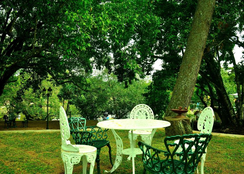Tamil Nadu Kodaikanal Public Areas