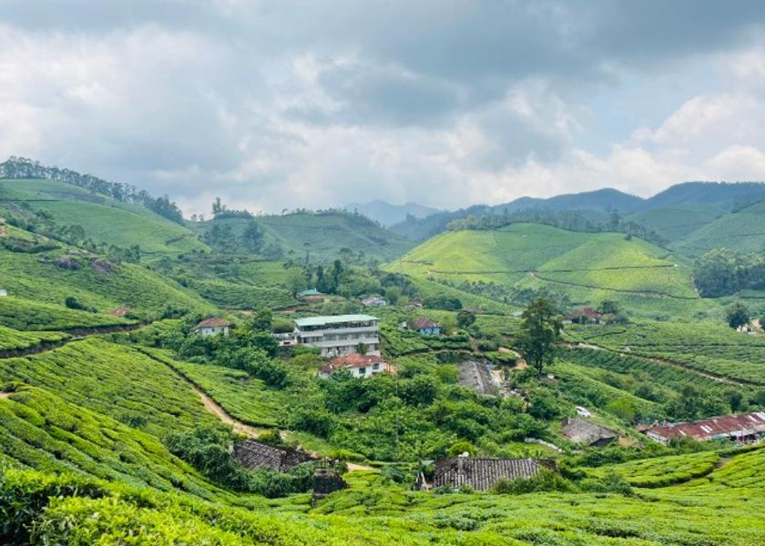 Kerala Munnar Hotel View