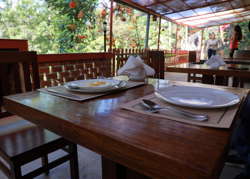 Kerala Munnar Property Grounds
