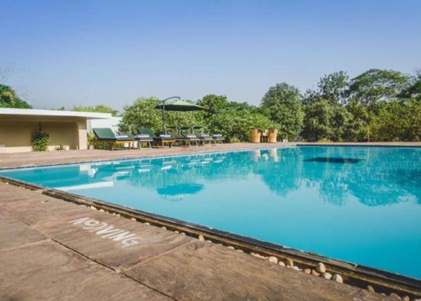Rajasthan Sawai Madhopur Pool