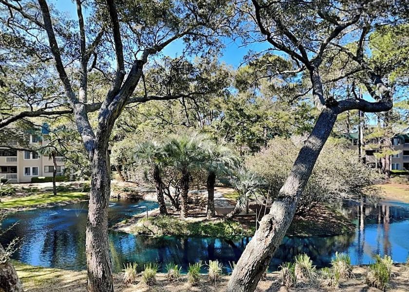 South Carolina Hilton Head Island Amenity