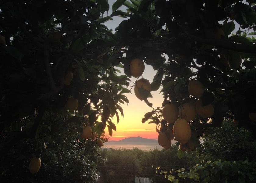 Campania Anacapri Amenity