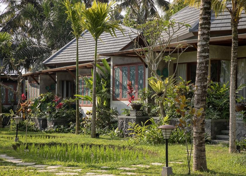 Bali Payangan View from room