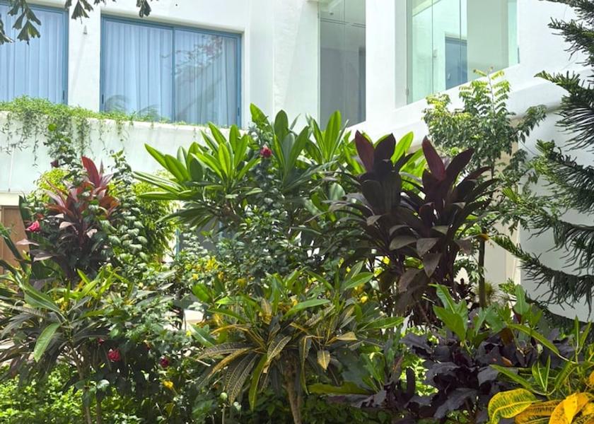 Western Area Freetown Building design