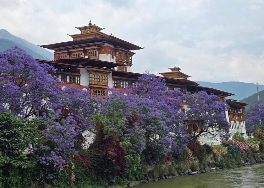 Punakha Punakha Front of property