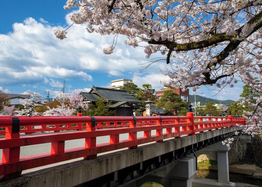 Land View from Property