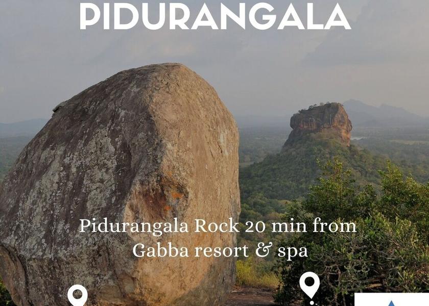 Ropes Course (Team Building)