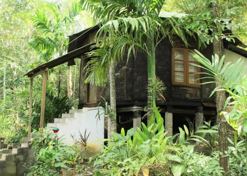 Andaman and Nicobar Port Blair Nicobari Hut