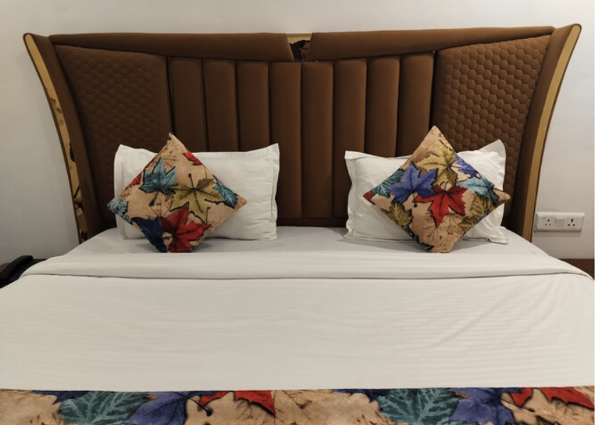 Delhi Delhi Standard AC Room