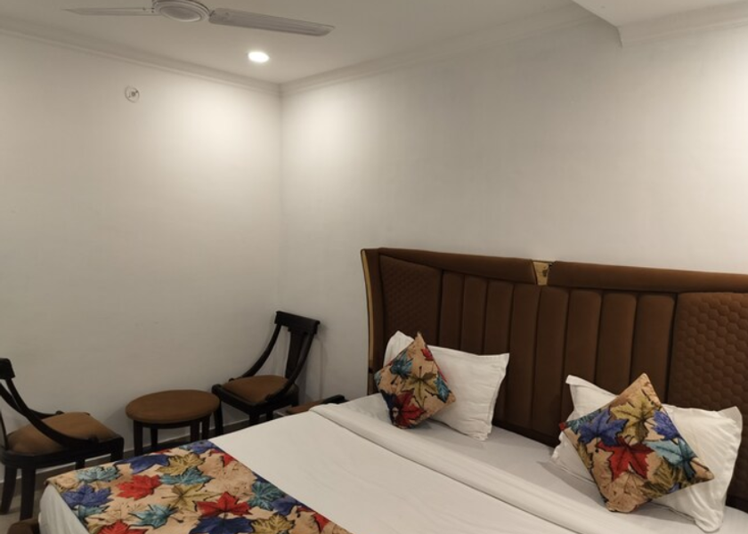 Delhi Delhi Standard AC Room