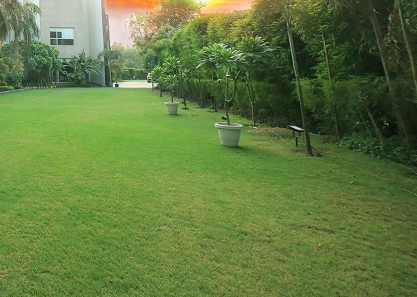 Delhi Delhi Outdoors