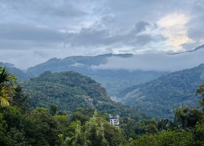 Kerala Munnar Hotel View