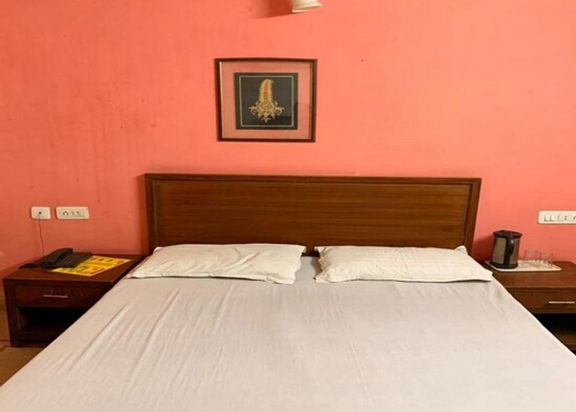 Rajasthan Jaipur Deluxe Room with AC
