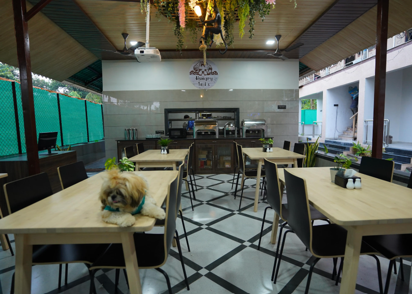 Maharashtra Alibaug Food & Dining