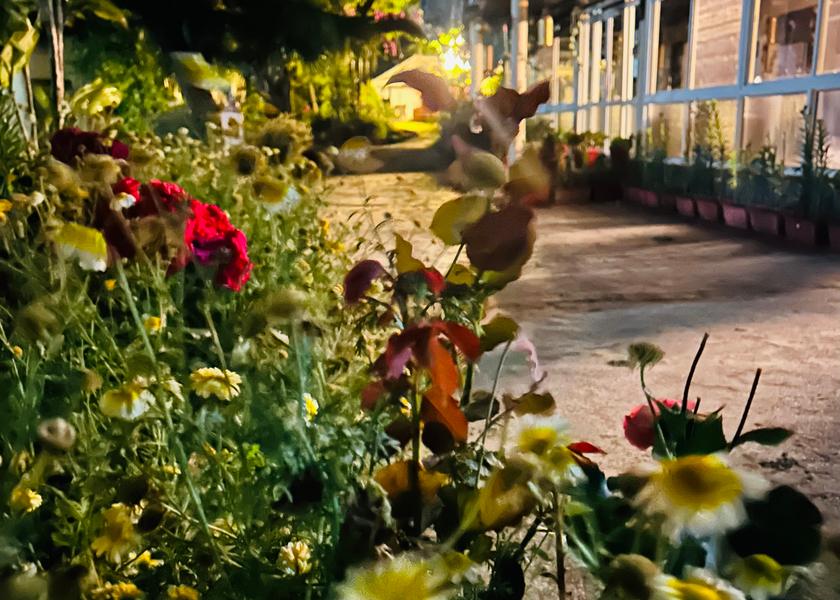 Himachal Pradesh Bir Hotel Exterior