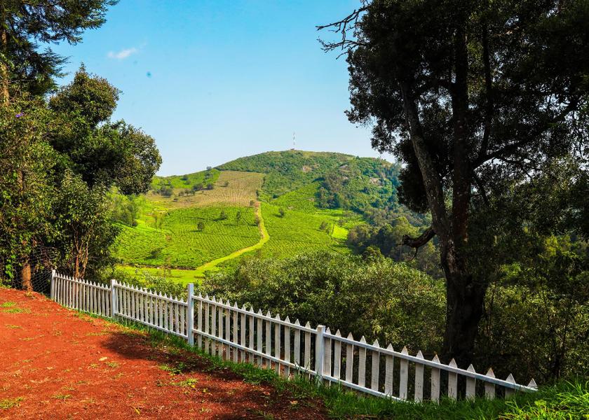 Tamil Nadu Ooty View
