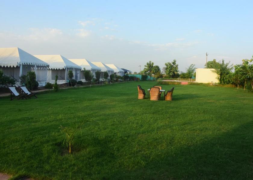 Rajasthan Sawai Madhopur Outdoors
