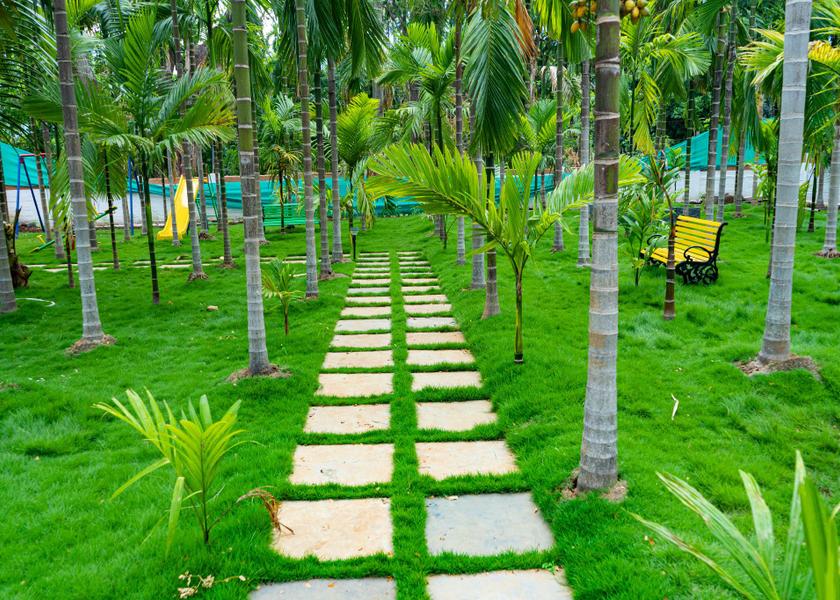 Tamil Nadu Coonoor Attractions