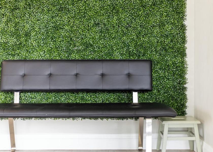 Ontario Toronto Living Area