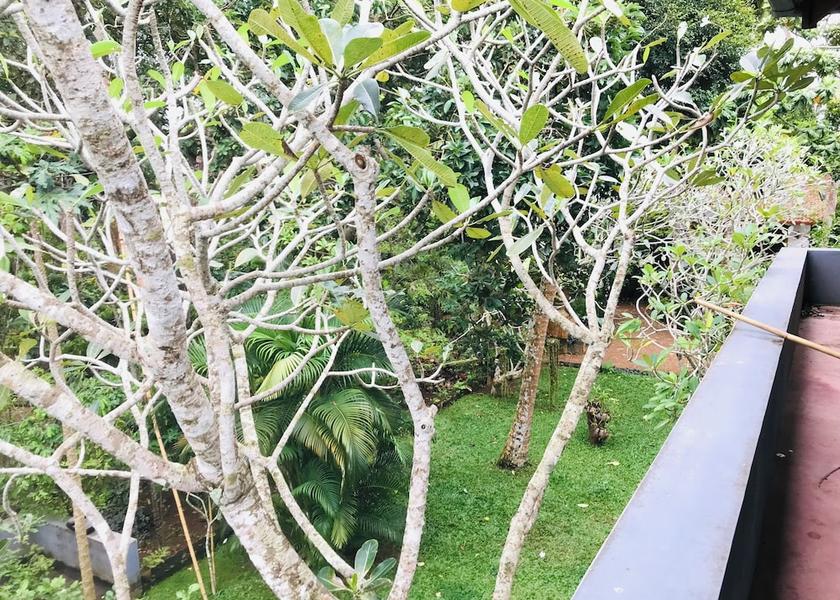 Southern Province Bentota Exterior