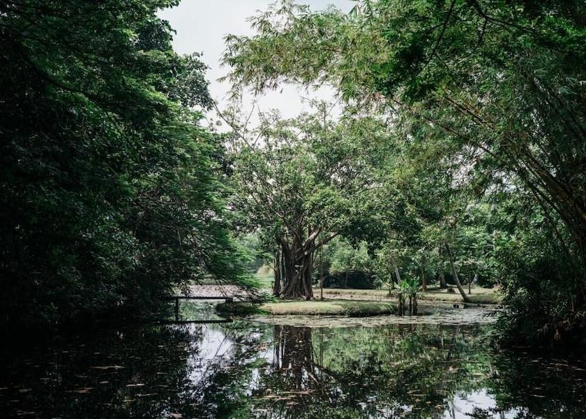 Galle District Bentota Amenity