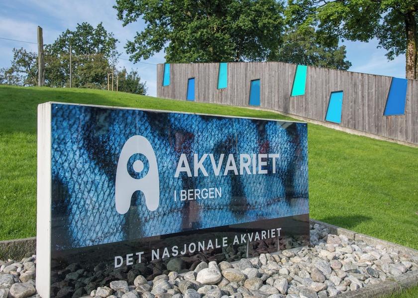 Hordaland (county) Bergen Room