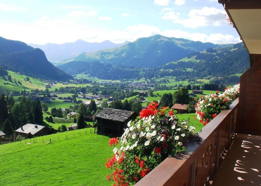 Canton of Bern Saanen Amenity
