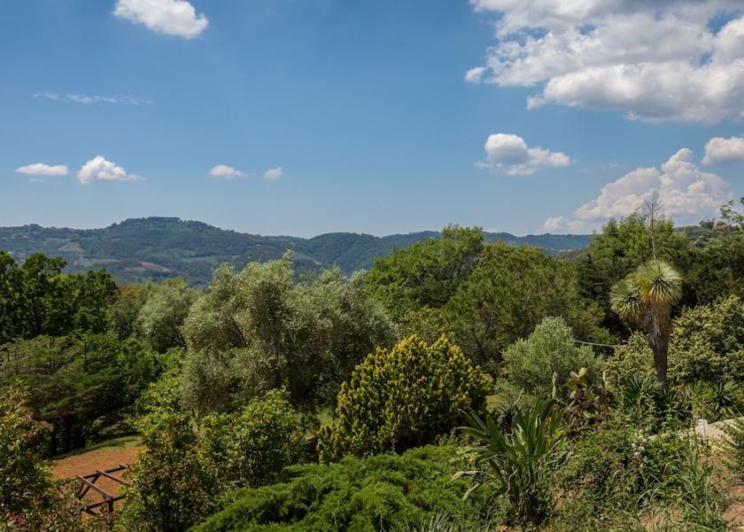 Provence - Alpes - Cote d'Azur Peymeinade View from Property