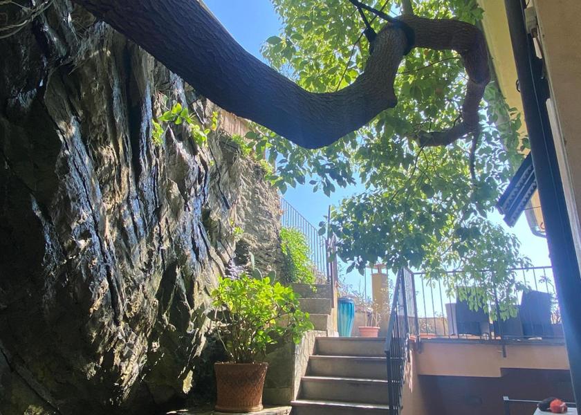 Liguria Vernazza garden