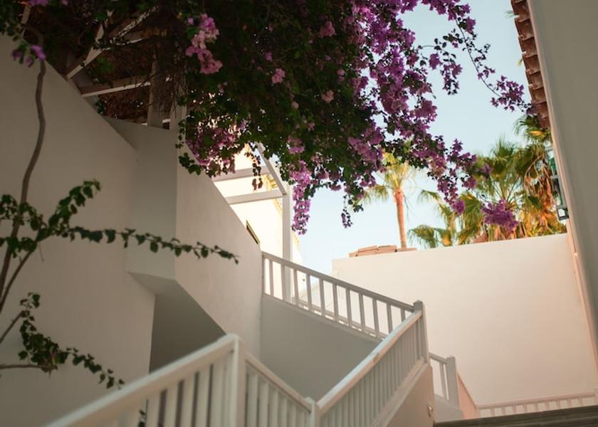 Canary Islands Arona Property Grounds