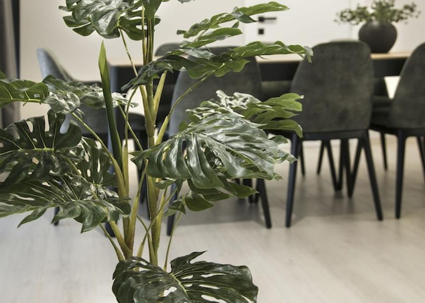 Attica Nea Smirni In-Room Dining