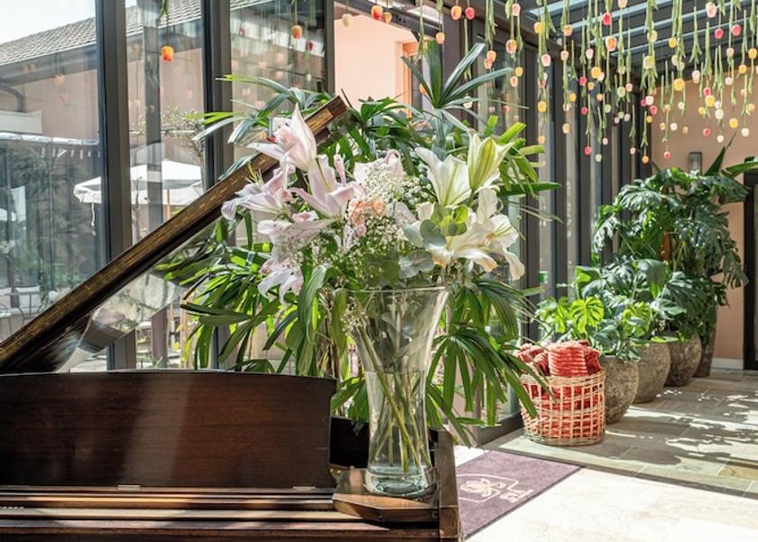 Auvergne-Rhone-Alpes Aix-Les-Bains Reception