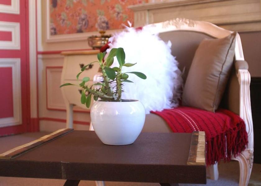 Nouvelle-Aquitaine Chatellerault In-Room Amenity