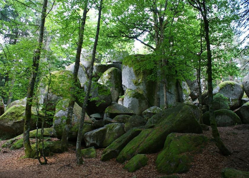 Baden-Württemberg Furtwangen Hiking