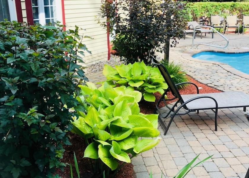 Quebec Saint-Sauveur Pool