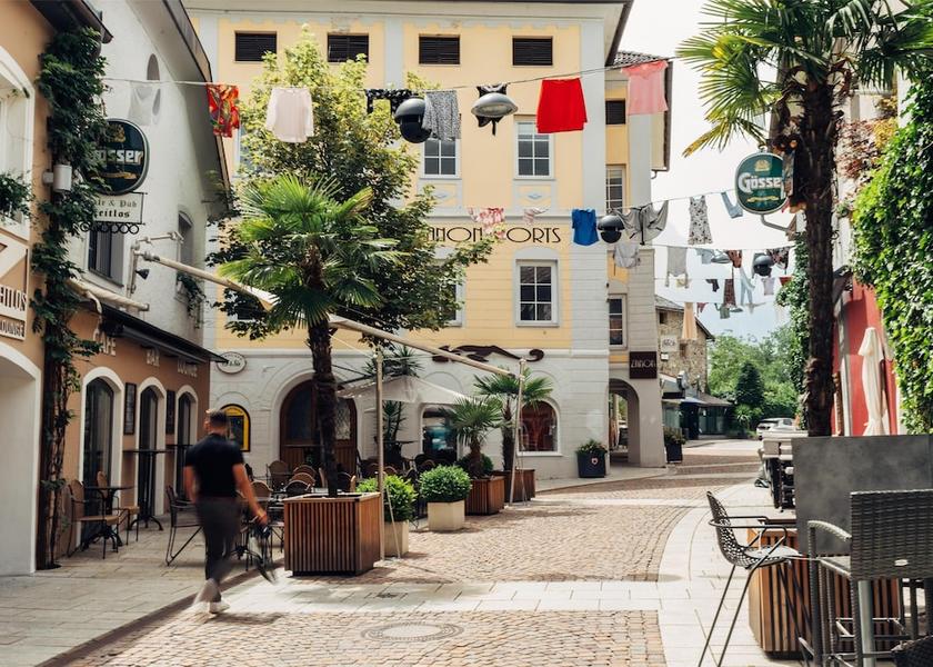  Lienz View from Property