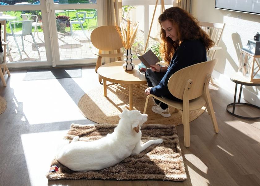 Normandy Saint-Marcel Pet-Friendly