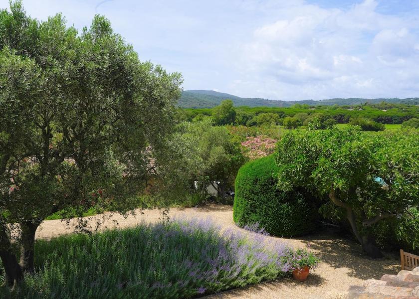 Provence-Alpes-Côte d'Azur Ramatuelle Garden view